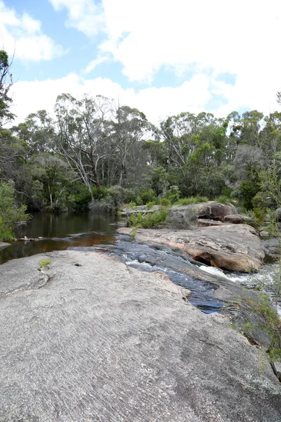 昆士兰州南部美丽的Girabetween国家公园 以当地植物 树胶和花岗岩巨石为特色 — 图库照片