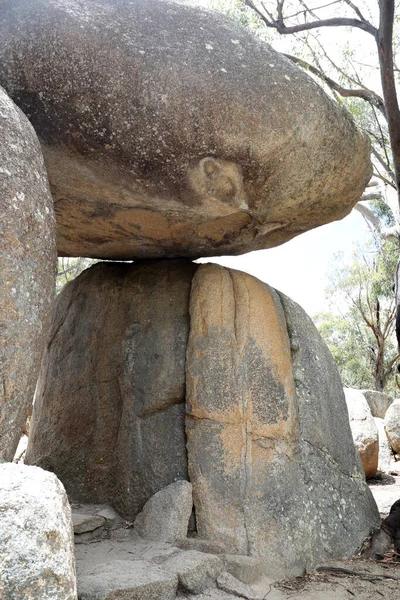 Bellissimo Parco Nazionale Giraween Nel Queensland Meridionale Con Piante Autoctone — Foto Stock