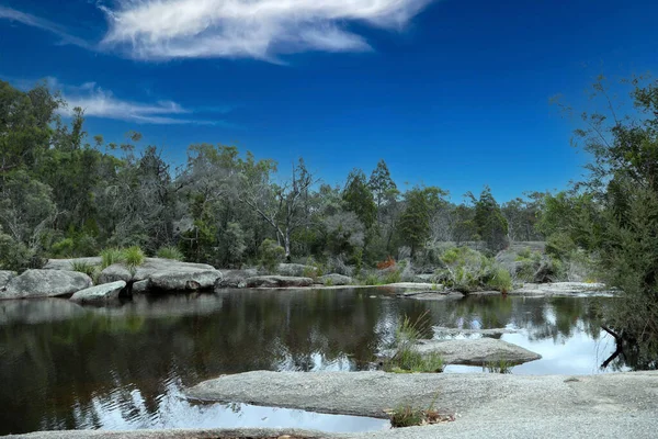 Piękny Giraween Park Narodowy Południowych Downs Queensland Rodzimych Roślin Drzew — Zdjęcie stockowe