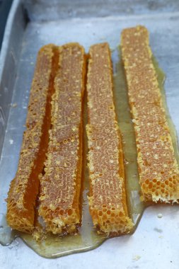 Bal, arı ve çerçeveli arı kovanının yakın plan görüntüsü