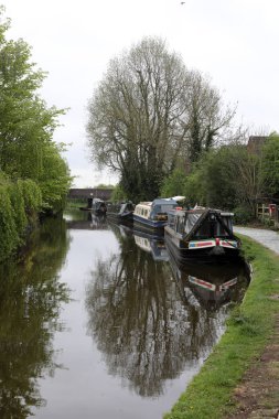 Kanalda tekneler, köprüler, bitkiler ve ördekler var..