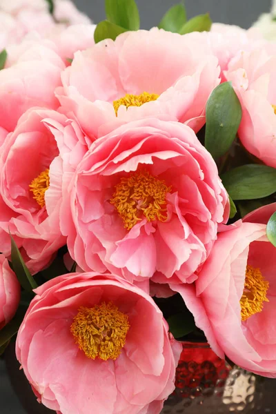 Beautiful Pink White Peonie Flowers —  Fotos de Stock