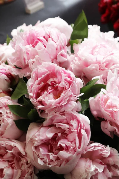 Beautiful Pink White Peonie Flowers — Photo