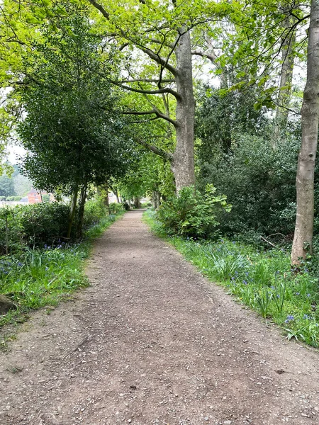 Baddesley Clinton 'ın güzel arazisinde çan çiçekleri, meşe ağaçları, kapılar, yollar, taş binalar