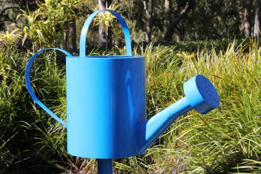 Royal Botanik Bahçeleri Cranbourne Victoria, Avustralya. Kuru ve yerel bitki sergileri ve manzaraları