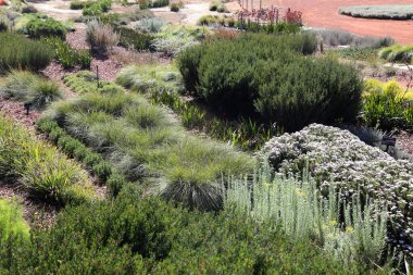 Royal Botanik Bahçeleri Cranbourne Victoria, Avustralya. Kuru ve yerel bitki sergileri ve manzaraları