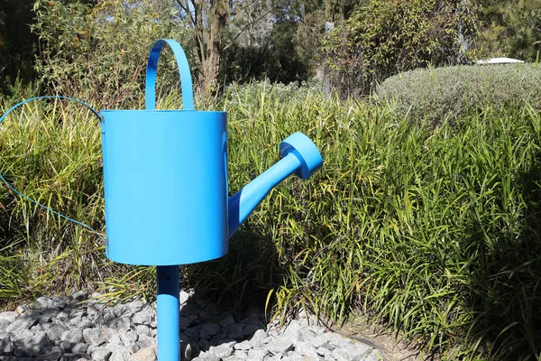 Royal Botanic Gardens Cranbourne Victoria Australië Arid Inheemse Planten Exposeert — Stockfoto