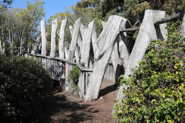 Royal Botanic Gardens Cranbourne Victoria Austrálie Arid Původní Rostlinné Exponáty — Stock fotografie
