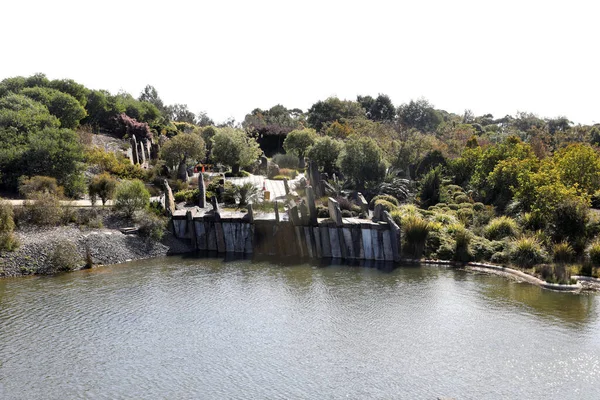 Kungliga Botaniska Trädgården Cranbourne Victoria Australien Arid Och Inhemska Växtutställningar — Stockfoto