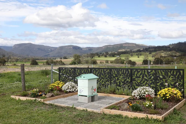 背景に山のある庭の環境で美しい塗装蜂の巣 — ストック写真