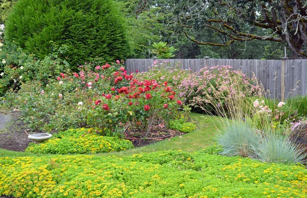 Ogród letni w kraju — Zdjęcie stockowe