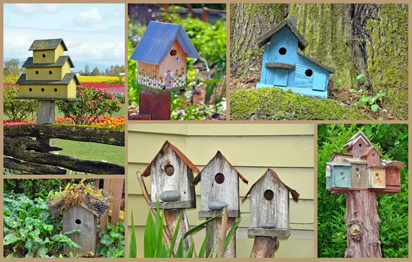 Kolaż Birdhouse — Zdjęcie stockowe