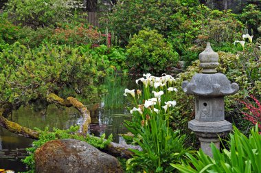 yeşil yeşil Asya Bahçesi