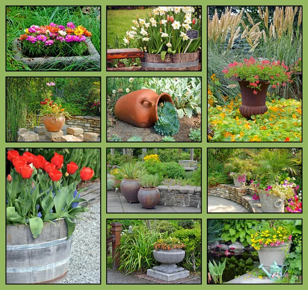 Collage fioriera giardino — Foto Stock