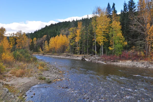 秋の渓流 — ストック写真