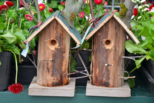 Duas casas de pássaros de jardim — Fotografia de Stock