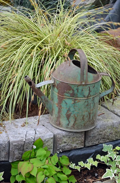 Old rusty watering can — Stock Photo, Image