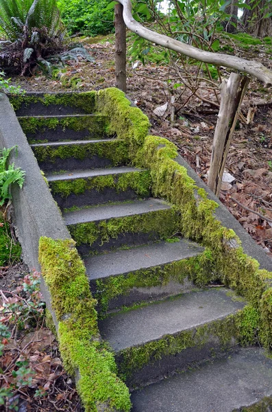 Moss escaleras cubiertas en el jardín — Foto de Stock