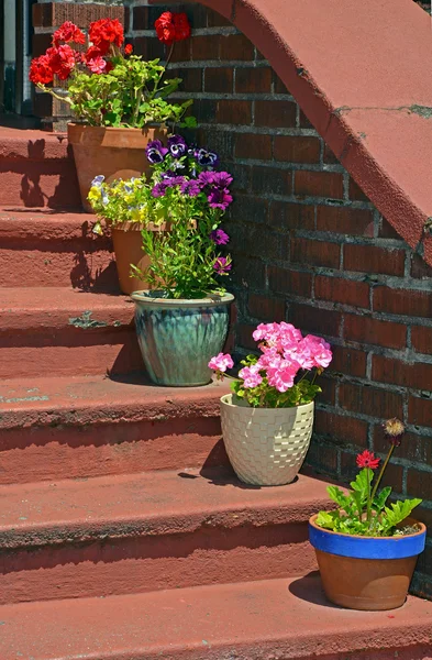 Цветочные горшки на старой лестнице — стоковое фото