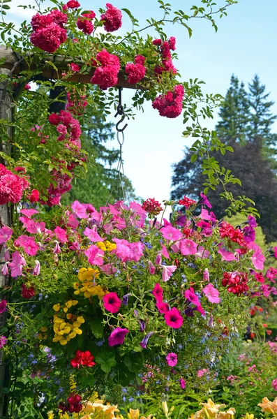Bellissimo giardino estivo — Foto Stock