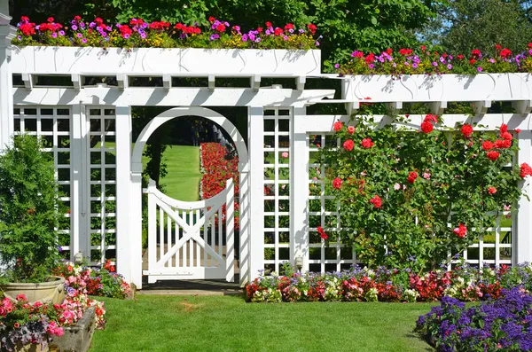 A virágok fehér kerti kapu Stock Kép