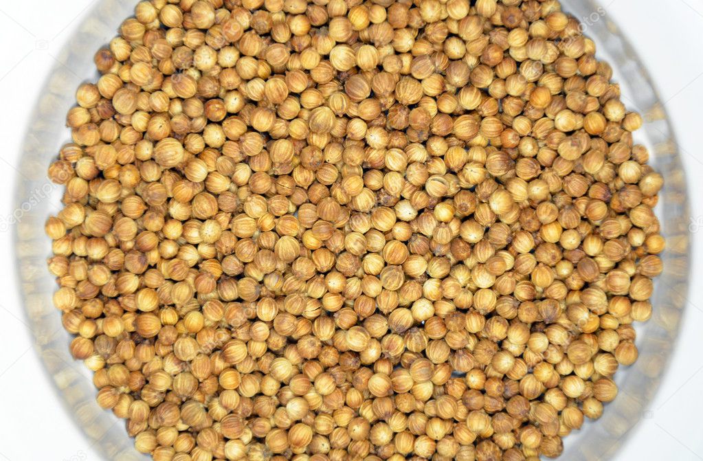 Bowl of coriander seeds