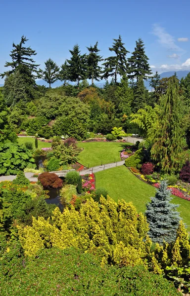 Grön vår botaniska trädgård — Stockfoto