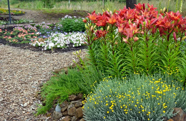 Colorato giardino fiorito estivo — Foto Stock