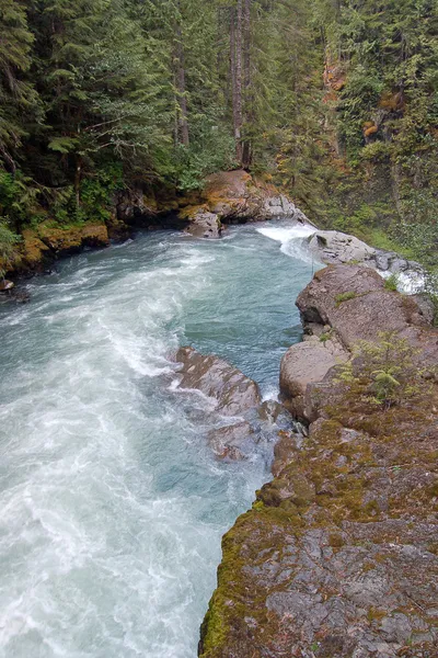 Pacific northwest river — Zdjęcie stockowe