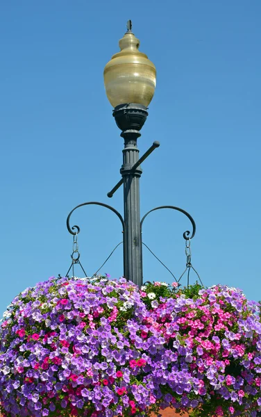 Luz de calle con cestas de flores de petunia colgantes — Foto de Stock