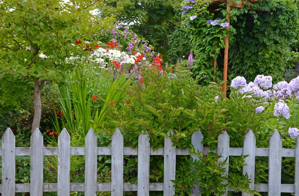 Colorful summer garden and fence — Stock Photo, Image