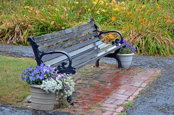 Banc en bois dans le jardin pluvieux — Photo