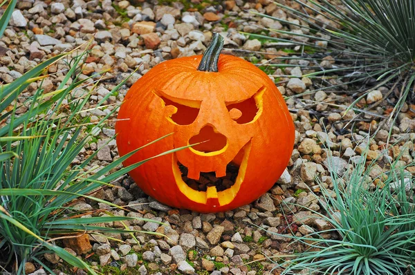 Carved pumpkin in rock garden — Stock Photo, Image