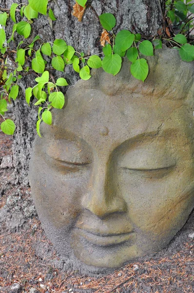 Різьблення Обличчя Будди Ліцензійні Стокові Фото