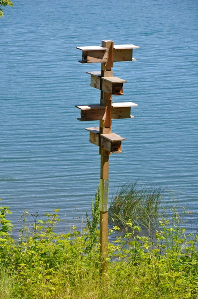 Ξύλινο Πύργο Birdhouse Δίπλα Στη Λίμνη Royalty Free Εικόνες Αρχείου
