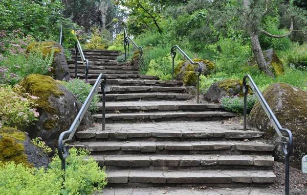 Escaleras Decorativas Jardín Piedra Parque Botánico — Foto de Stock