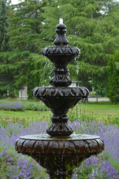 Decorative Water Fountain Lavender Garden — 스톡 사진