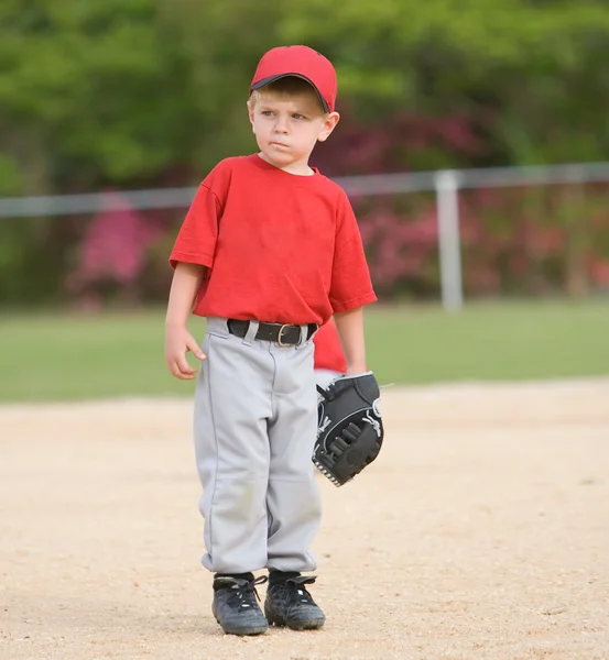 Little League Baseball Player