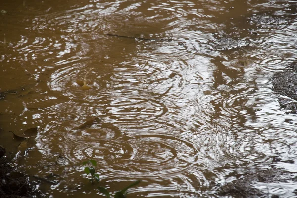 Ondas en el agua de lluvia — Foto de Stock