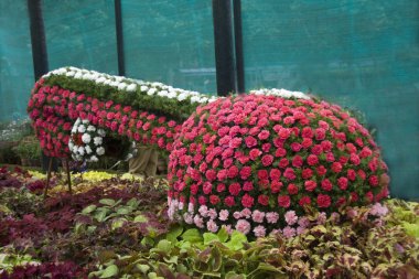 Çiçek müzik aleti