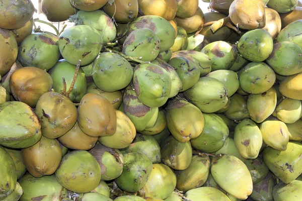 Haufen von zarter Kokosnuss — Stockfoto