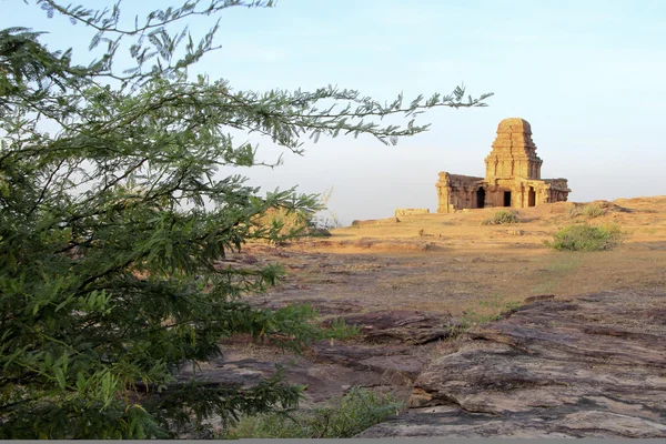 Tempio visto attraverso Bush — Foto Stock