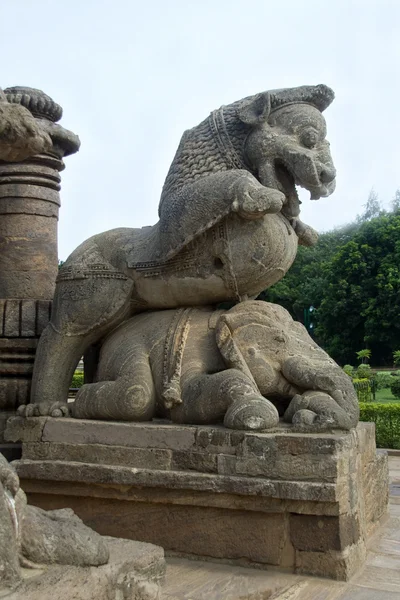 León montando sobre elefante — Foto de Stock