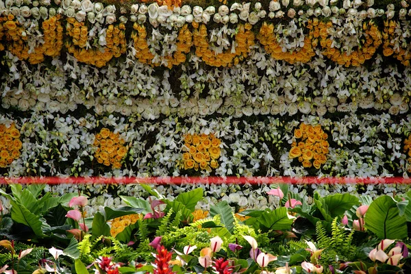 Různorodost Květin Rostlin Používaných Pro Dekoraci Den Republiky Flower Show — Stock fotografie