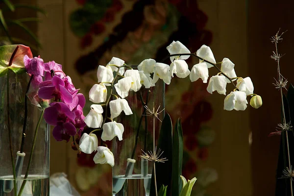 Vista Cachos Curvos Orquídeas Roxas Brancas Republic Day Flower Show — Fotografia de Stock