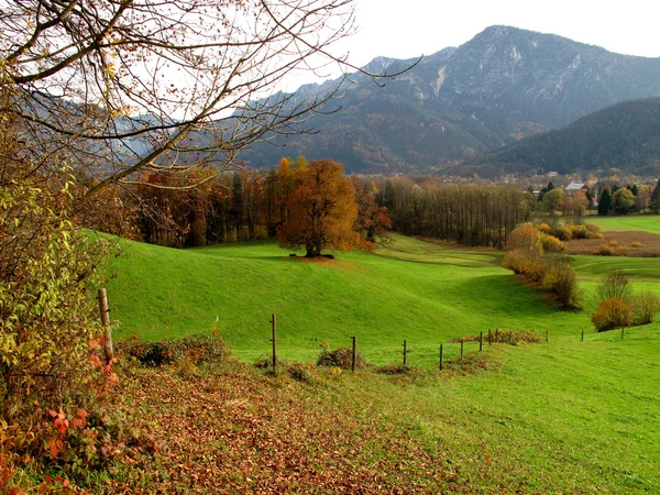 Autunno in montagna, foto a colori — Foto Stock