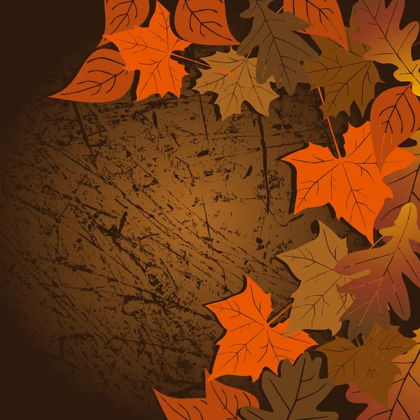 Feuille, automne - fond vectoriel — Image vectorielle