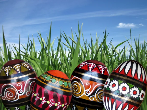 Easter eggs on the green grass background — Stock Photo, Image