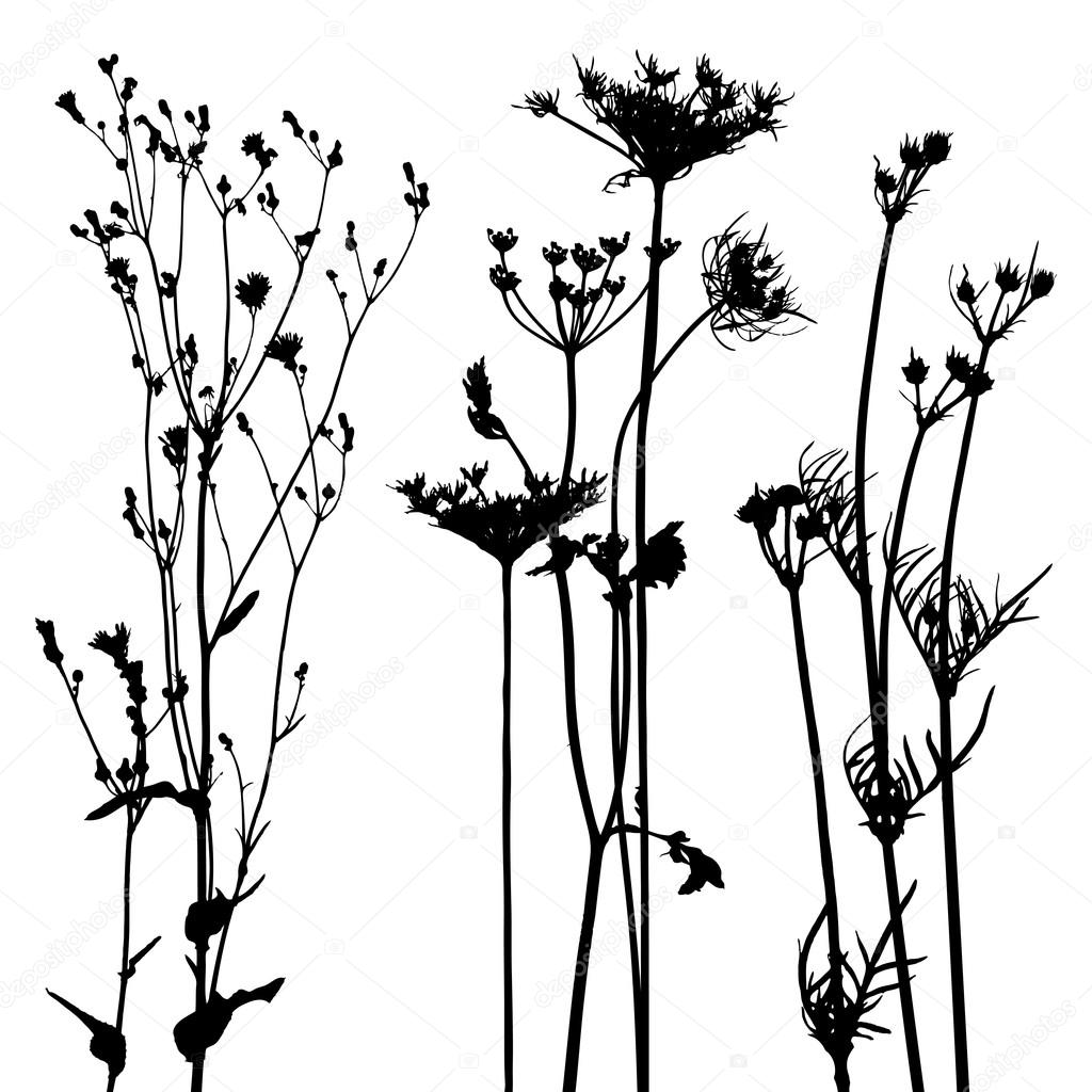 Collection, for designers, plant vector Stock Vector Image by ©lakalla ...