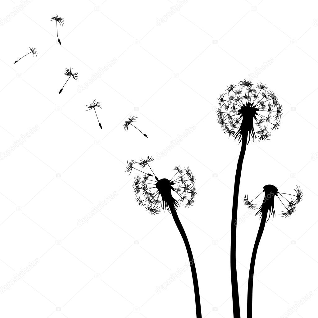 Floral background, dandelion